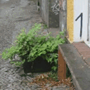 towardsgreen.net