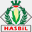 haubenwallner-harald.com