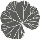 frauenaerztin-pankow-berlin.de