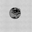 zaleski.bandcamp.com