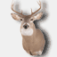 deerhandle.com