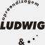 ludwig.com.br