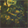 higuma.bandcamp.com