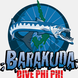 phiphibarakuda.com