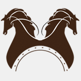 equinedivineonline.com