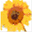 xiping.agri.com.cn