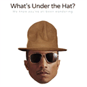 whatsunderpharrellshat.com