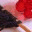 haveneedleswillknit.wordpress.com