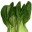 bokchoysegar.wordpress.com