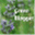 gogreenct.wordpress.com