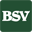 bsvnet.us