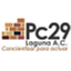 pc29laguna.org.mx