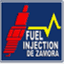 fuelinjectiondezamora.com