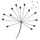 coachingpuertorico.com