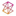 zune-software.apportal.jp