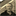 terrydolan.net