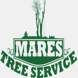 marestreeservice.com