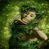 pogona57.over-blog.fr