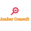 amberconsult.wordpress.com