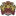 fcryukyu-ishigaki.com