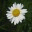 mathildesblog.wordpress.com
