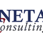 netaconsulting.org