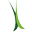 nuturfofarizona.com