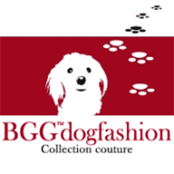 biggestlittlestoreontheweb.com