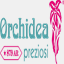 orchideapreziosi.it