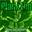 plankton.bandcamp.com