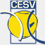 cesvmessina.org