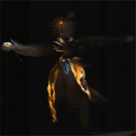 crownehillspublisher.com