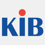 kib-consulting.com
