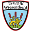 kirchweihlauf.tsv-djk-wiesentheid.de