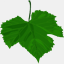 vignobles-barreau.com