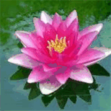 cocoresortsretreats.com