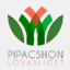 pixels-editions.com
