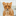jungo.ch