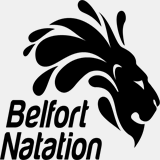 belfort-natation.net