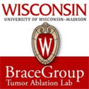 bracegroup.engr.wisc.edu