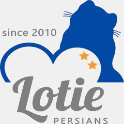 lotiepersians.com