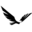 epixia.com
