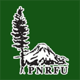 pocket-leitlinien.org