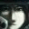 kiwizoom.wordpress.com