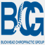 buckheadchiropracticgroup.com