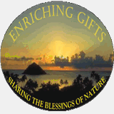 enrichinggifts.com