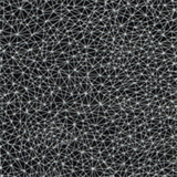 phycheum.net