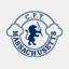cftmass.cl