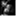 nunoferreirajazzpt.wordpress.com