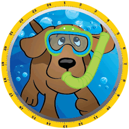 k9swimandtrim.com